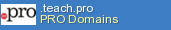 .pro Domain