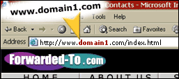 Domain Masking Example