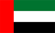 Arab Emirates Domain - .org.ae Domain Registration