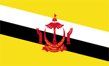 Brunei Domain - .com.bn Domain Registration