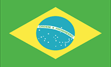 Brazil Domain - .net.br Domain Registration