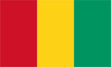 Guinea Domain - .org.gn Domain Registration