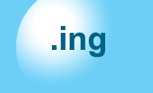 New Generic Domain - .ing Domain Registration