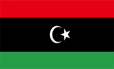 Libya Domain - .net.ly Domain Registration