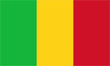 Mali Domain - .net.ml Domain Registration