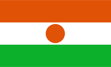 Niger Domain - .ne Domain Registration