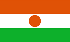 Niger Domain - .org.ne Domain Registration