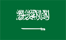 Saudi Arabia Domain - .net.sa Domain Registration