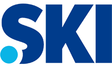 New Generic Domain - .ski Domain Registration