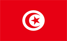 Tunisia Domain - .org.tn Domain Registration