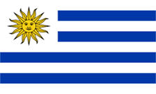 Uruguay Domain - .org.uy Domain Registration
