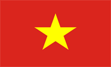 New Generic Domain - .vn Domain Registration