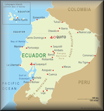 Ecuador Domain - .org.ec Domain Registration