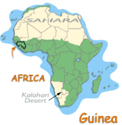 Guinea Domain - .com.gn Domain Registration