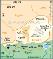 Niger Domain - .org.ne Domain Registration