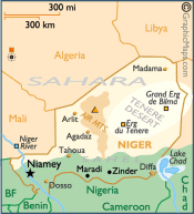 Niger Domain - .ne Domain Registration