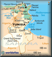 Tunisia Domain - .tn Domain Registration
