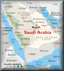 Saudi Arabia Domain - .org.sa Domain Registration